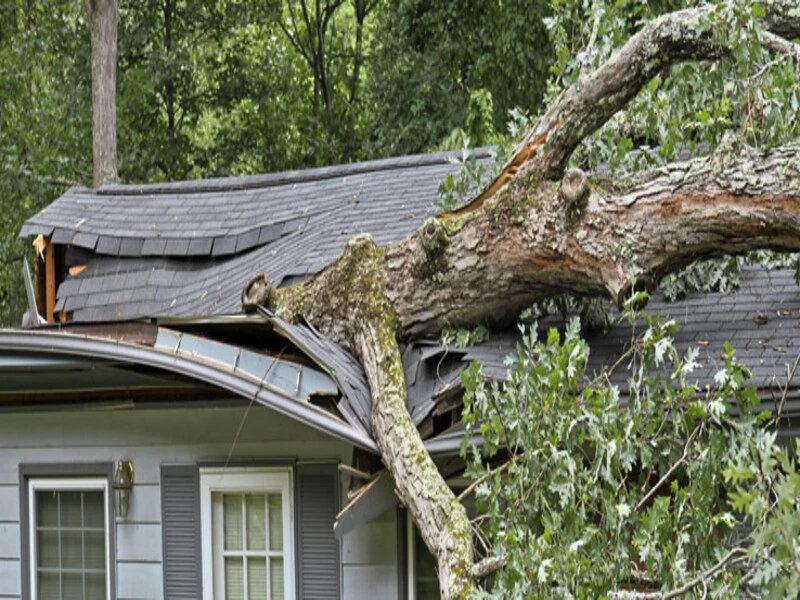 Texas Public Adjuster Live Webinar